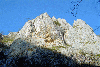 Cheile Rametului (pe sus)