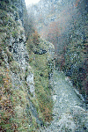 Cheile Rametului (pe sus)