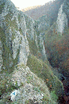 Cheile Rametului (pe sus)