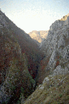 Cheile Rametului (pe sus)