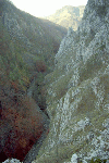 Cheile Rametului (pe sus)