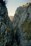 Cheile Rametului (pe sus)