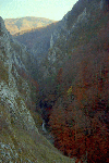 Cheile Rametului (pe sus)