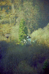 Cheile Rametului (pe sus)