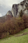 Cheile Rasnoavei