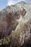 Cheile Rasnoavei