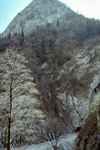 Cheile Rasnoavei