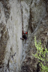 Cheile Rasnoavei