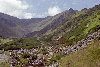 Borsa, Vf. Pietrosu, Piatra Scrisa