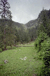 Cascada Cailor, Borsa, Baia Mare