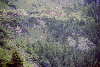 Cascada Cailor, Borsa, Baia Mare