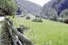 Valea Sadului