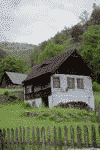 Valea Sadului