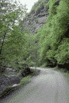 Valea Sadului