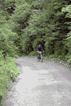 Valea Sadului