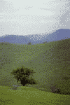 Valea Sadului