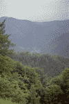 Valea Sadului