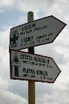 Cetatea Trascaului