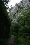 Cheile Turzii