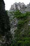 Cheile Turzii