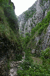 Cheile Turzii