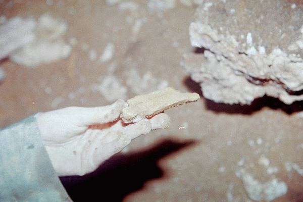 Pestera Ciclovina Uscata