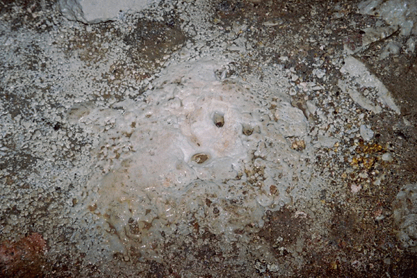 Pestera Ciclovina Uscata