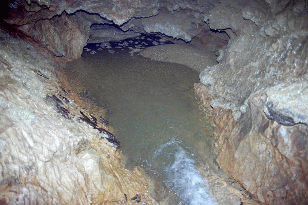 Scufundare in Pestera Ciclovina