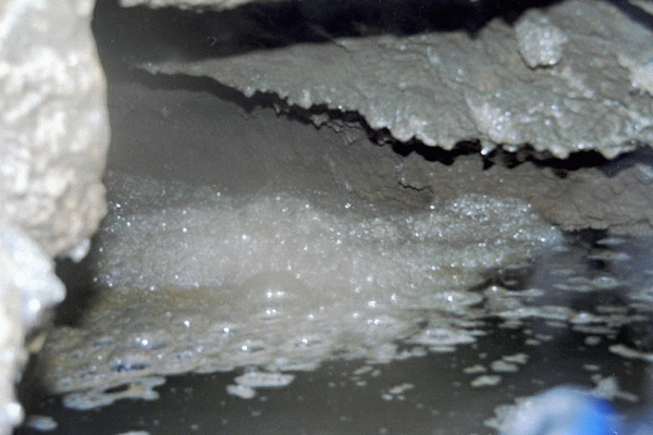 Scufundare in Pestera Ciclovina