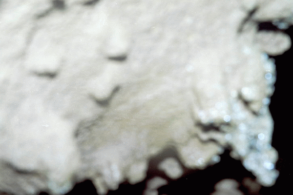 Scufundare in Pestera Ciclovina