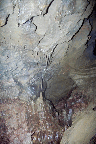 Scufundare in Pestera Ciclovina
