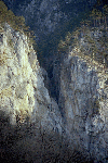 herculane