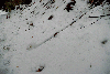 Cabana Piatra Mare - Drumul familial - Dambu Morii