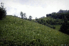 Valea Manastirii, Fatza Pietrii