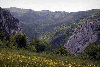 Valea Manastirii, Fatza Pietrii