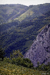 Valea Manastirii, Fatza Pietrii