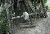 Valea Manastirii, Fatza Pietrii