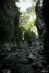 Cheile Rametului - pe jos