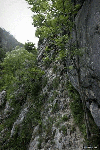 Cheile Rametului - pe sus