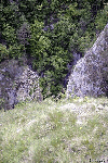 Cheile Rametului - pe sus