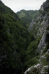 Cheile Rametului - pe sus