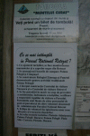 Cab Carnic Cab Pietrele