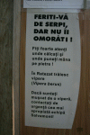 Cab Carnic Cab Pietrele