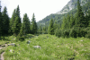 Cab Pietrele, Saua Bucura