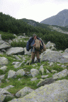 Cab Pietrele, Saua Bucura