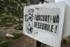 Saua Bucura, Vf. Retezat
