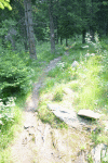 Cab Pietrele, Lac Galesu