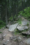 Cab Pietrele, Lac Galesu