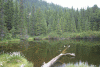 Cab Pietrele, Lac Galesu