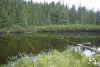 Cab Pietrele, Lac Galesu